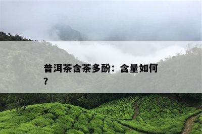 普洱茶含茶多酚：含量如何？