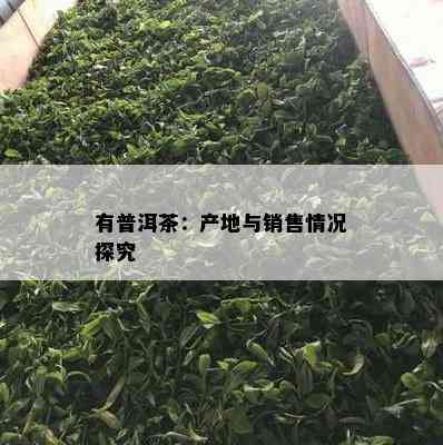 有普洱茶：产地与销售情况探究