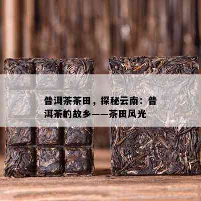 普洱茶茶田，探秘云南：普洱茶的故乡——茶田风光