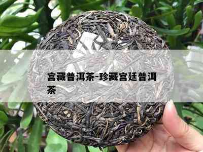 宫藏普洱茶-珍藏宫廷普洱茶