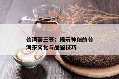 普洱茶三笠：揭示神秘的普洱茶文化与品鉴技巧