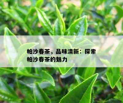 帕沙春茶，品味清新：探索帕沙春茶的魅力