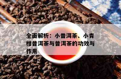 全面解析：小普洱茶、小青柑普洱茶与普洱茶的功效与作用