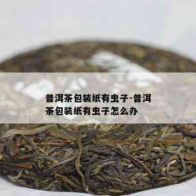 普洱茶包装纸有虫子-普洱茶包装纸有虫子怎么办