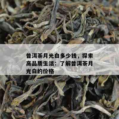 普洱茶月光白多少钱，探索高品质生活：熟悉普洱茶月光白的价格