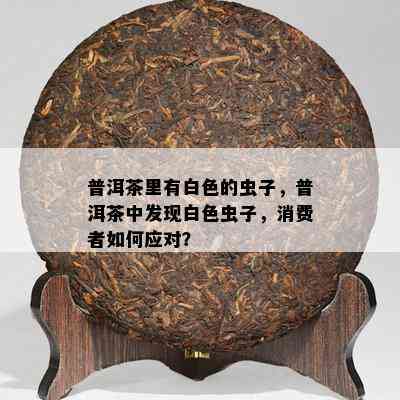 普洱茶里有白色的虫子，普洱茶中发现白色虫子，消费者如何应对？