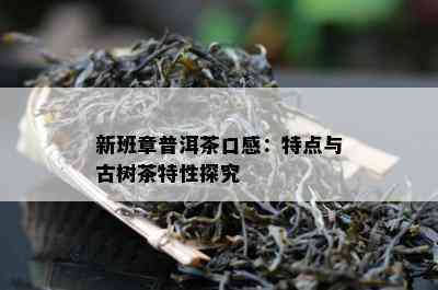 新班章普洱茶口感：特点与古树茶特性探究