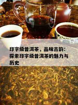 印字级普洱茶，品味古韵：探索印字级普洱茶的魅力与历史