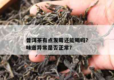 普洱茶有点发霉还能喝吗？味道异常是否正常？