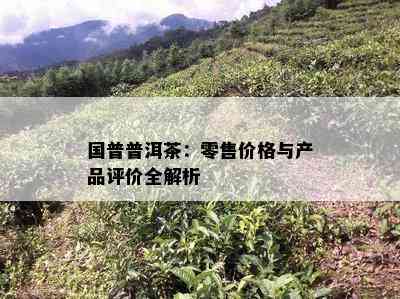 国普普洱茶：零售价格与产品评价全解析