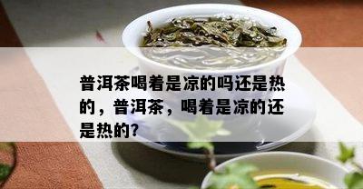 普洱茶喝着是凉的吗还是热的，普洱茶，喝着是凉的还是热的？