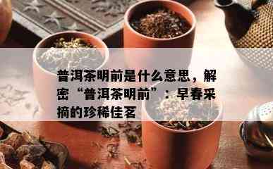 普洱茶明前是什么意思，解密“普洱茶明前”：早春采摘的珍稀佳茗