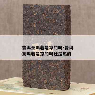 普洱茶喝着是凉的吗-普洱茶喝着是凉的吗还是热的