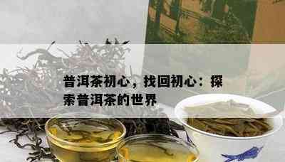 普洱茶初心，找回初心：探索普洱茶的世界