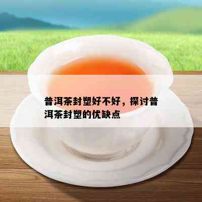 普洱茶封塑好不好，探讨普洱茶封塑的优缺点