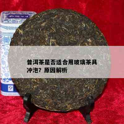 普洱茶是不是适合用玻璃茶具冲泡？起因解析