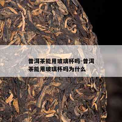 普洱茶能用玻璃杯吗-普洱茶能用玻璃杯吗为什么