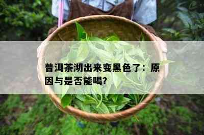 普洱茶沏出来变黑色了：起因与是不是能喝？