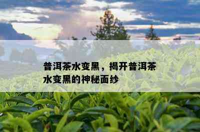 普洱茶水变黑，揭开普洱茶水变黑的神秘面纱