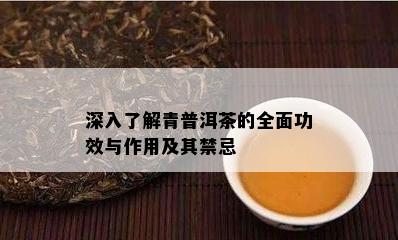 深入了解青普洱茶的全面功效与作用及其禁忌