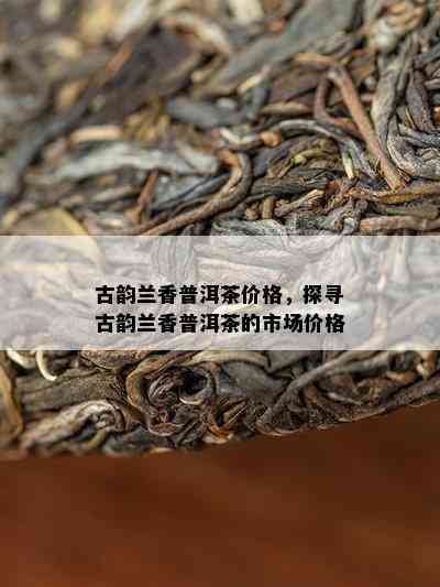 古韵兰香普洱茶价格，探寻古韵兰香普洱茶的市场价格