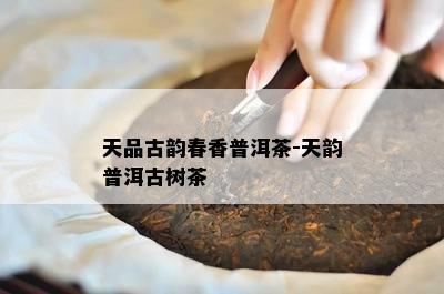 天品古韵春香普洱茶-天韵普洱古树茶