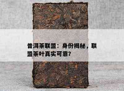 普洱茶联盟：身份揭秘，联盟茶叶真实可靠？