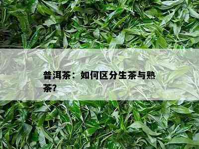 普洱茶：怎样区分生茶与熟茶？