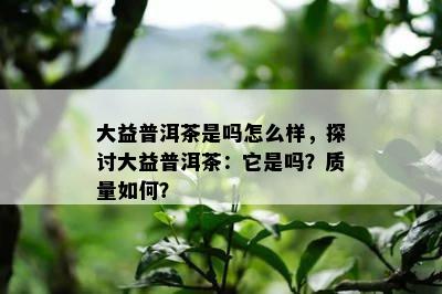 大益普洱茶是吗怎么样，探讨大益普洱茶：它是吗？品质怎样？