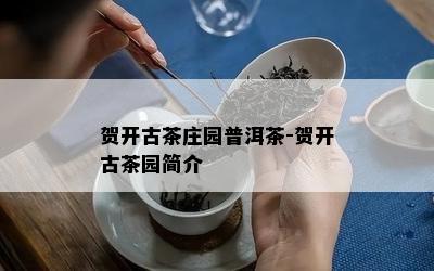 贺开古茶庄园普洱茶-贺开古茶园简介