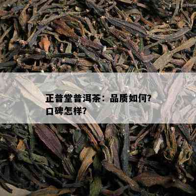 正普堂普洱茶：品质如何？口碑怎样？