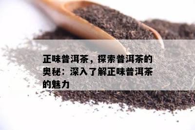 正味普洱茶，探索普洱茶的奥秘：深入了解正味普洱茶的魅力