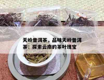 天岭普洱茶，品味天岭普洱茶：探索云南的茶叶瑰宝