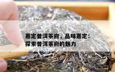 嘉定普洱茶府，品味嘉定：探索普洱茶府的魅力