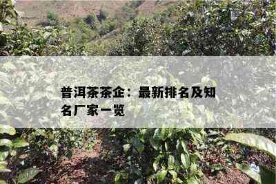 普洱茶茶企：最新排名及知名厂家一览