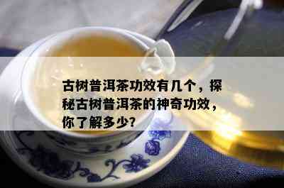 古树普洱茶功效有几个，探秘古树普洱茶的神奇功效，你了解多少？