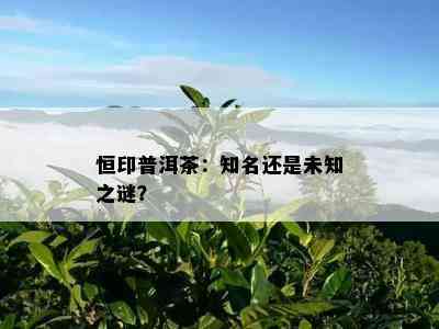 恒印普洱茶：知名还是未知之谜？