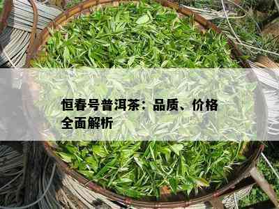 恒春号普洱茶：品质、价格全面解析