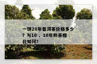 一饼20年普洱茶价格多少？与10 、10年熟茶相比怎样？