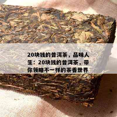 20块钱的普洱茶，品味人生：20块钱的普洱茶，带你领略不一样的茶香世界