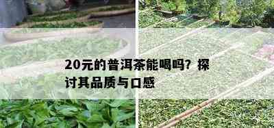 20元的普洱茶能喝吗？探讨其品质与口感