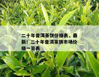 二十年普洱茶饼价格表，最新！二十年普洱茶饼市场价格一览表