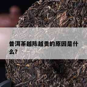 普洱茶越陈越贵的起因是什么？