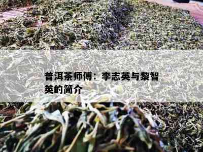 普洱茶师傅：李志英与黎智英的简介