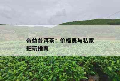 帝益普洱茶：价格表与私家把玩指南