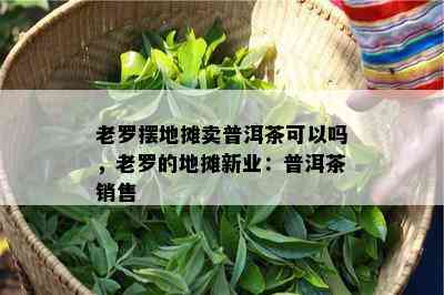 老罗摆地摊卖普洱茶可以吗，老罗的地摊新业：普洱茶销售