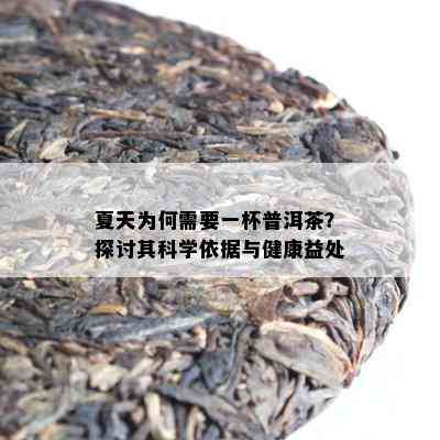 夏天为何需要一杯普洱茶？探讨其科学依据与健康益处