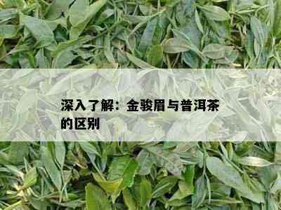 深入了解：金骏眉与普洱茶的区别