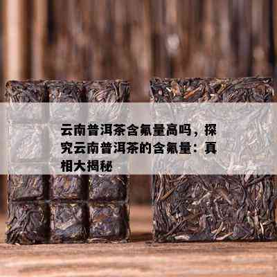 云南普洱茶含氟量高吗，探究云南普洱茶的含氟量：真相大揭秘