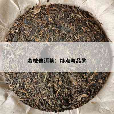 蛮枝普洱茶：特点与品鉴